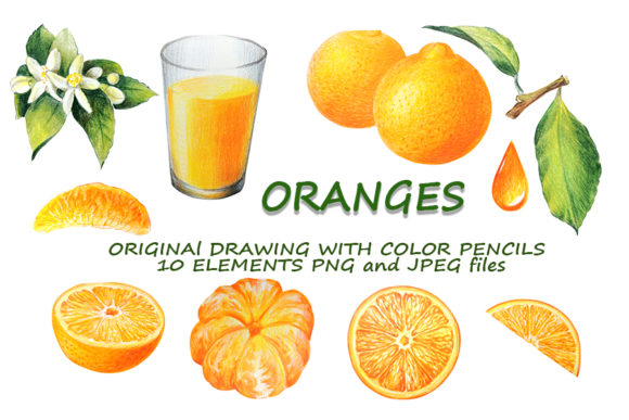 10 Elements of Orange Citrus, Hand Drawn: A Vibrant Design Asset